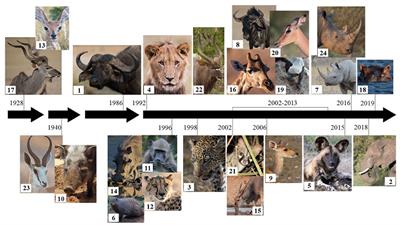 Review of Diagnostic Tests for Detection of Mycobacterium bovis Infection in South African Wildlife